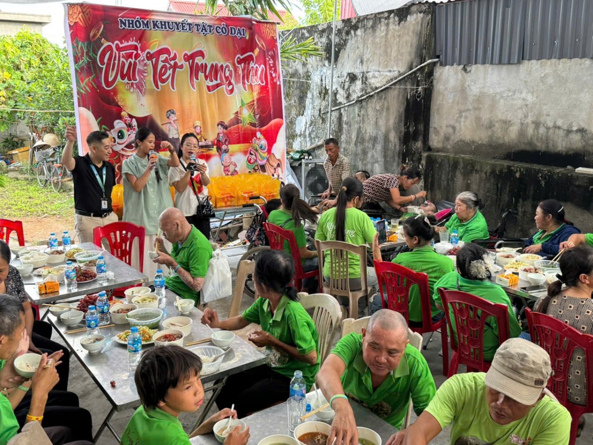 Khát Vọng Cỏ Dại: Khi nghị lực nở hoa trên sỏi đá