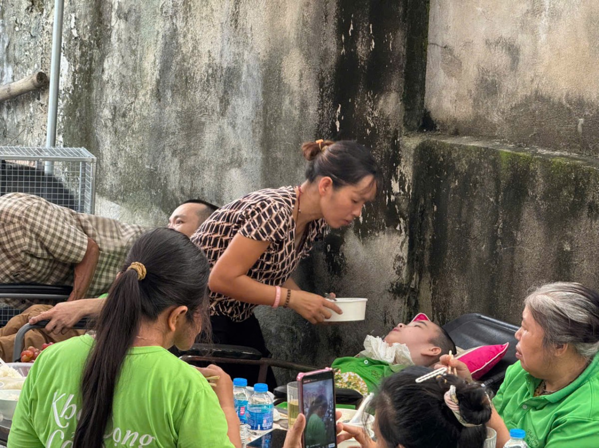 Khát Vọng Cỏ Dại: Khi nghị lực nở hoa trên sỏi đá