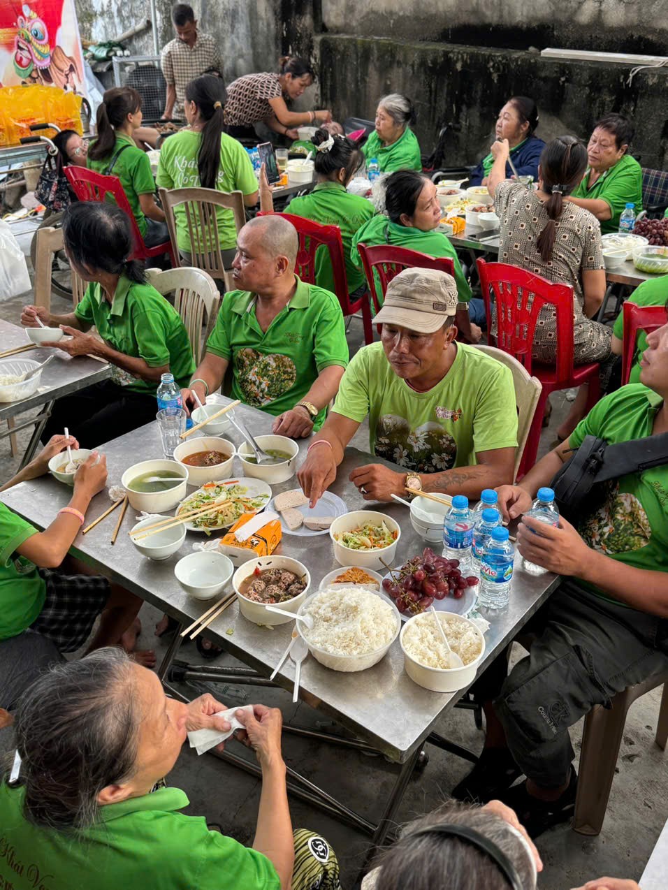 Khát Vọng Cỏ Dại: Khi nghị lực nở hoa trên sỏi đá