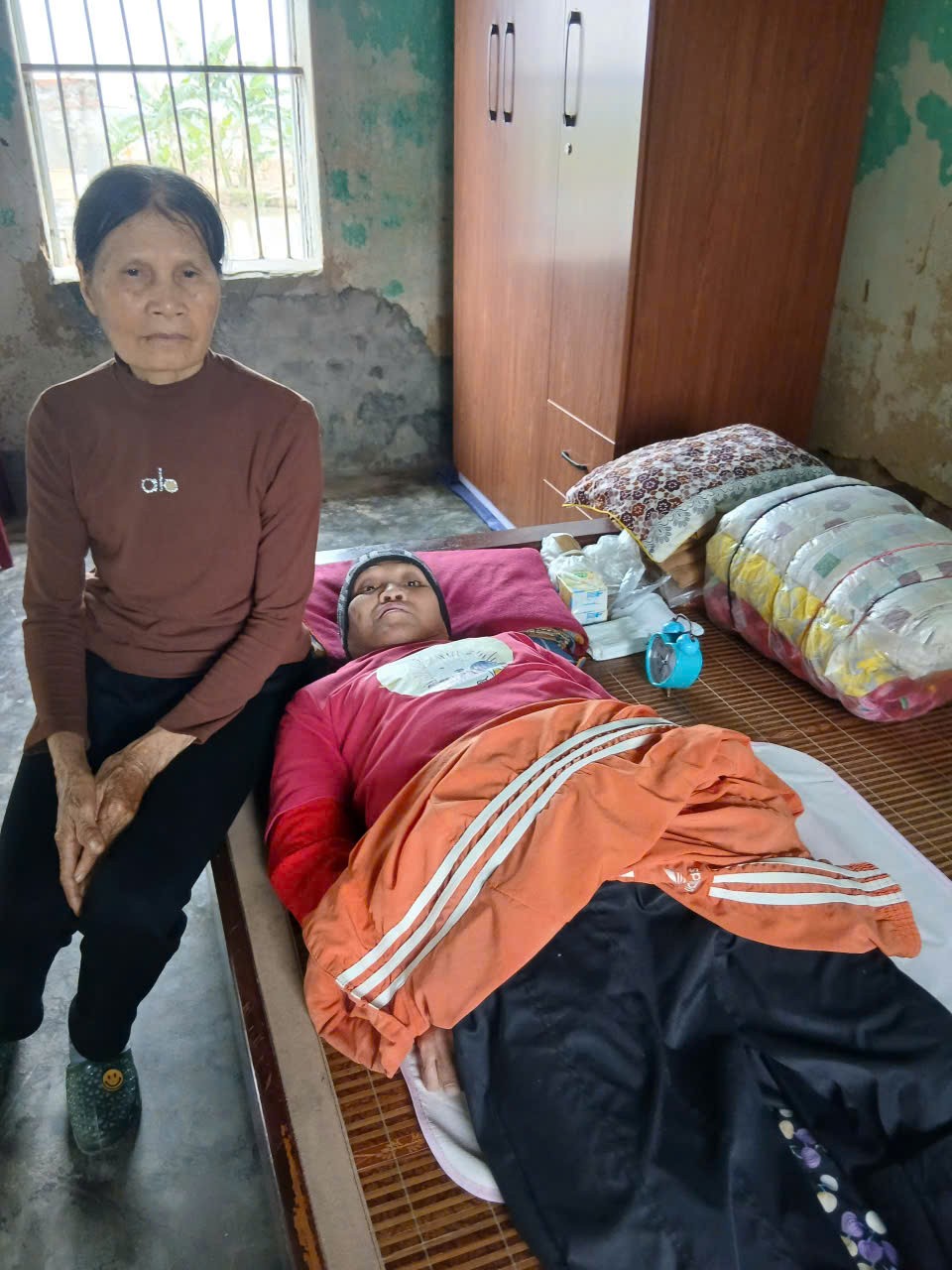 Khát Vọng Cỏ Dại: Khi nghị lực nở hoa trên sỏi đá