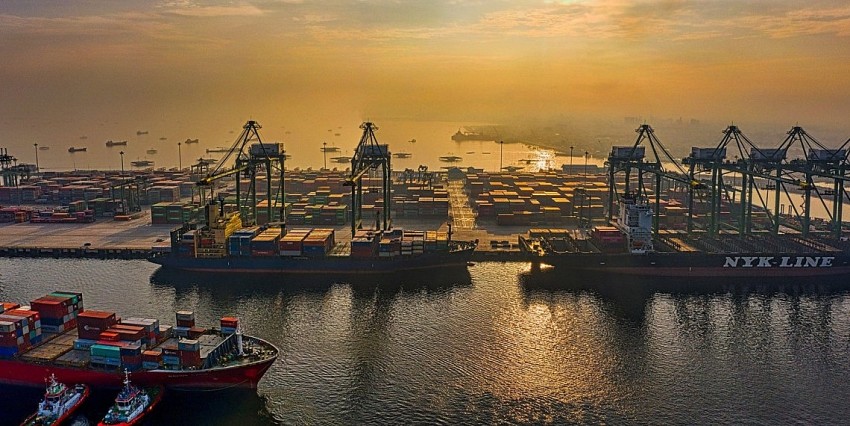 Trung Quốc miễn thuế 100% đối với mặt hàng nông sản, Nam Phi rộng cửa xuất khẩu