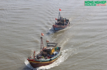 Chủ tịch Nghệ An chỉ đạo tập trung khắc phục các hạn chế trong công tác khai thác IUU