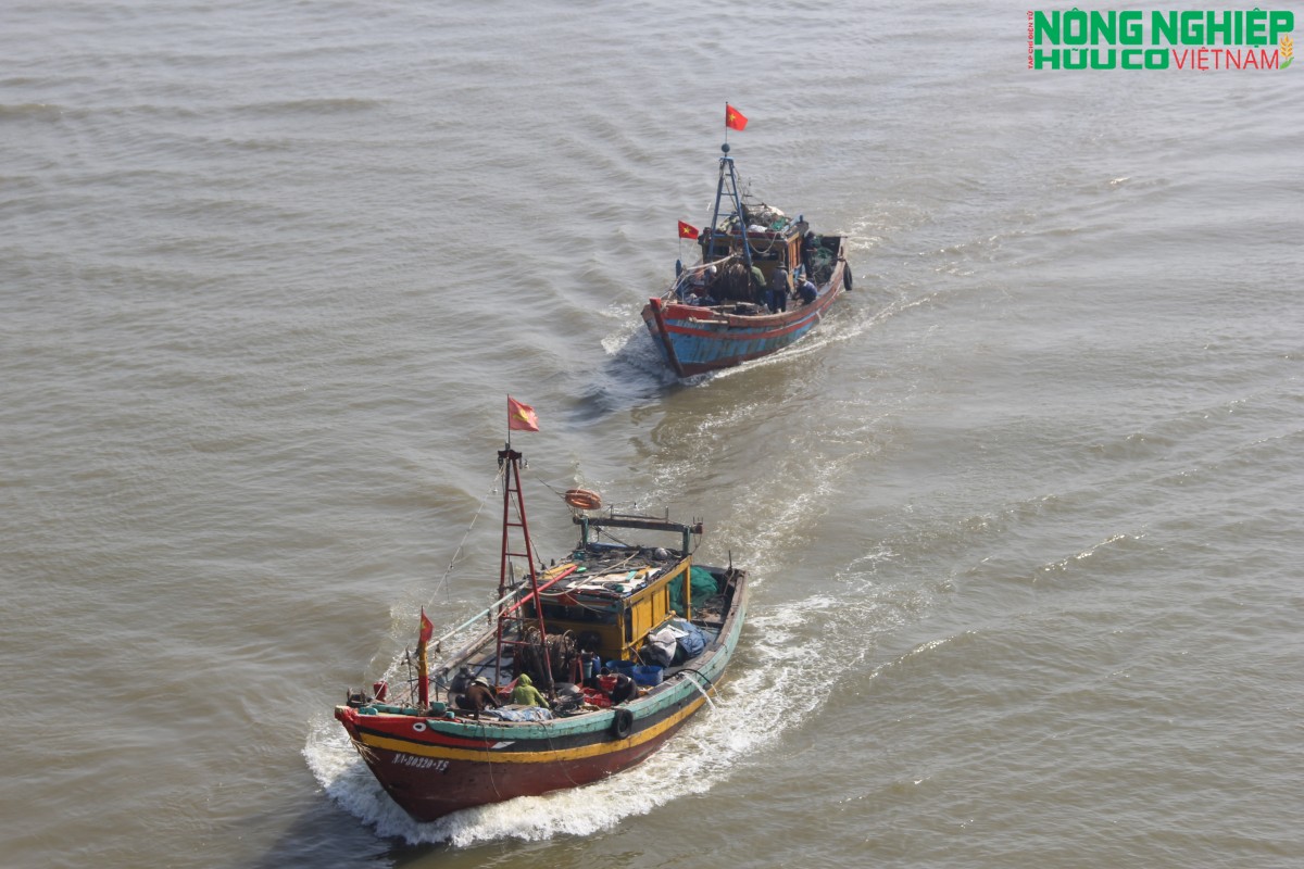 Chủ tịch Nghệ An chỉ đạo tập trung khắc phục các hạn chế trong công tác khai thác IUU