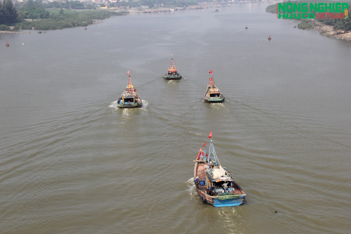 Chủ tịch Nghệ An chỉ đạo tập trung khắc phục các hạn chế trong công tác khai thác IUU