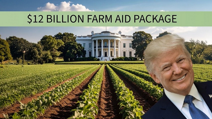 USDA giải ngân nhanh hàng nghìn khoản hỗ trợ cầu nối cho nông dân Hoa Kỳ