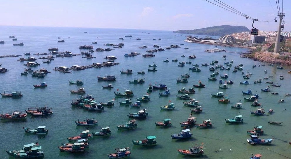 Lâm Đồng: 100% tàu mất kết nối VMS được xử lý, kiên quyết không để tái diễn vượt ranh giới