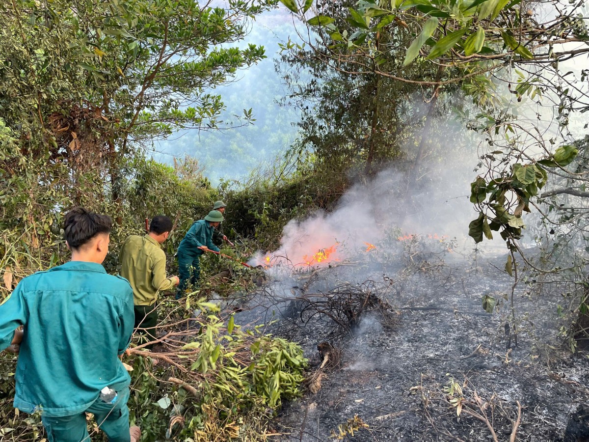 Ngay khi phát hiện khói lửa bùng phát, lực lượng tại chỗ đã kịp thời báo cáo chính quyền địa phương để triển khai phương án ứng phó.