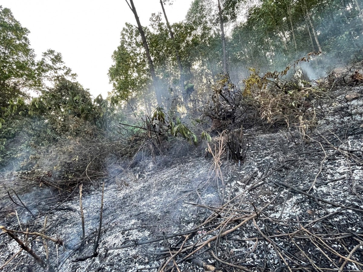 Cháy rừng tại khu vực Miếu Khe Nước (Tổ dân phố Phụ Ổ 2, phường Kim Trà, thành phố Huế)