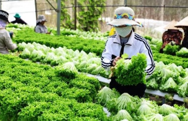 Đẩy mạnh cuộc cách mạng khoa học - kĩ thuật trong nông nghiệp Việt Nam