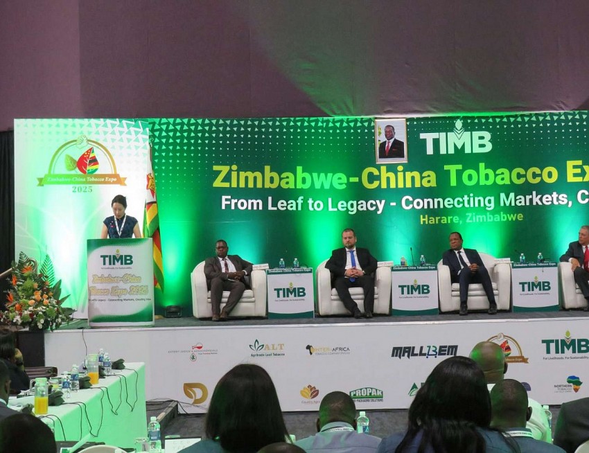 Zimbabwe hợp tác với Trung Quốc thu hoạch cây thuốc lá trị giá 1.2 tỷ USD