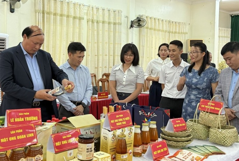 Cao Bằng: Đánh giá, phân hạng sản phẩm OCOP cấp tỉnh năm 2025