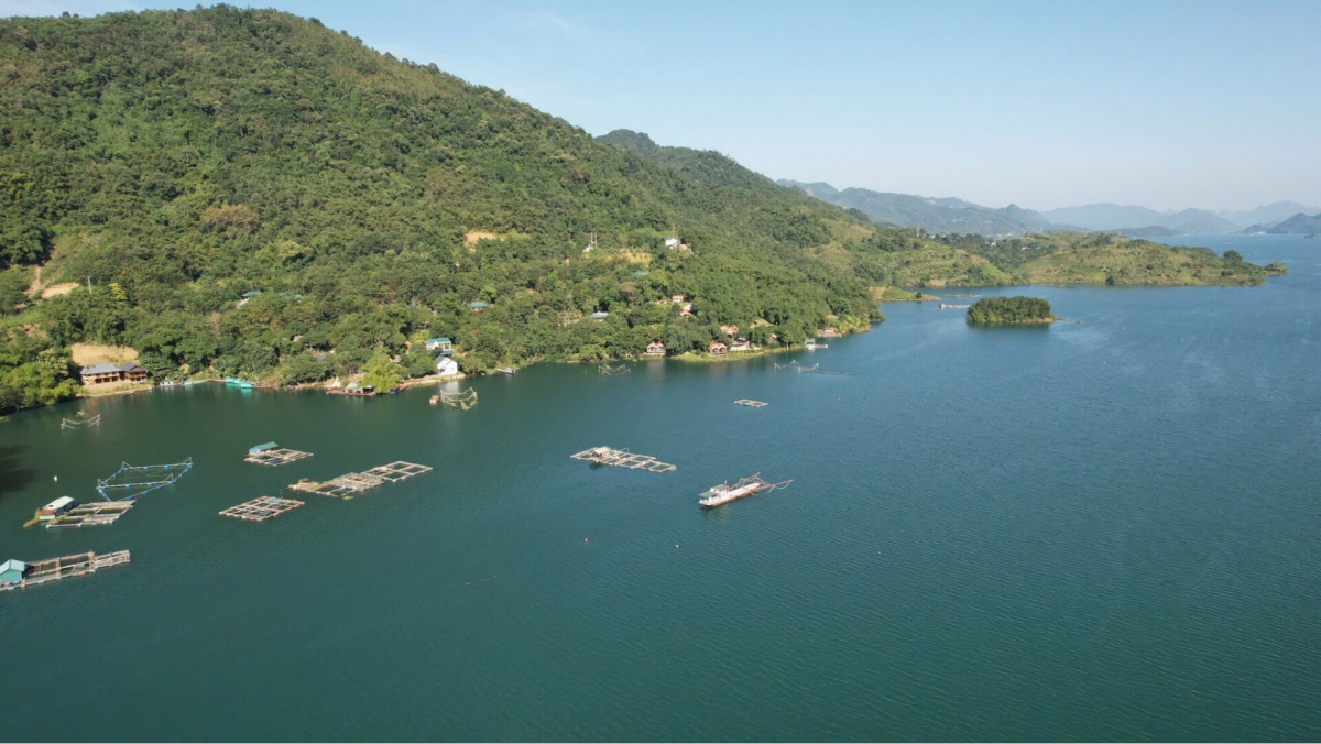 Nuôi cá lồng trên Hồ Hòa Bình: Hướng đi bền vững cho kinh tế vùng cao