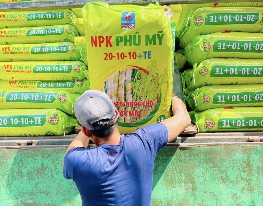 NPK Phú Mỹ đồng hành cùng vùng nguyên liệu mía tỉnh Đắk Lắk