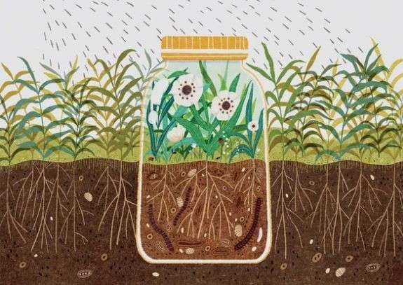 Thuốc trừ sâu - nguyên nhân làm biến đổi sâu sắc hệ vi sinh vật đất