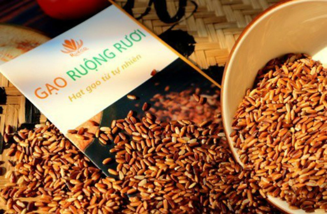 Gạo ruộng rươi Kiến Quốc - Tinh hoa từ hệ sinh thái tự nhiên
