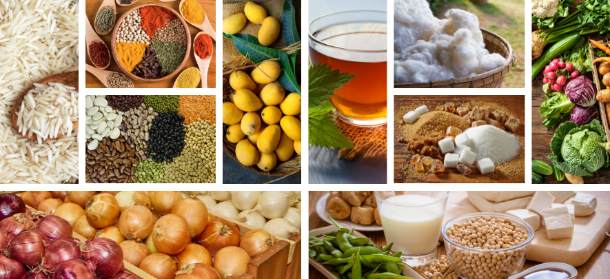 Đậu tương phục hồi nhờ tín hiệu từ Trung Quốc, thị trường ngũ cốc đối mặt biến động mới