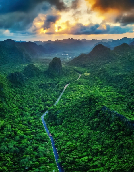 tam rung o vuon quoc gia cat ba thuc day mo hinh du lich sinh thai ben vung