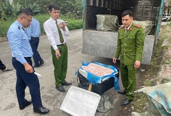 Hưng Yên: Phát hiện và tiêu hủy 600 kg nầm lợn đông lạnh không rõ nguồn gốc