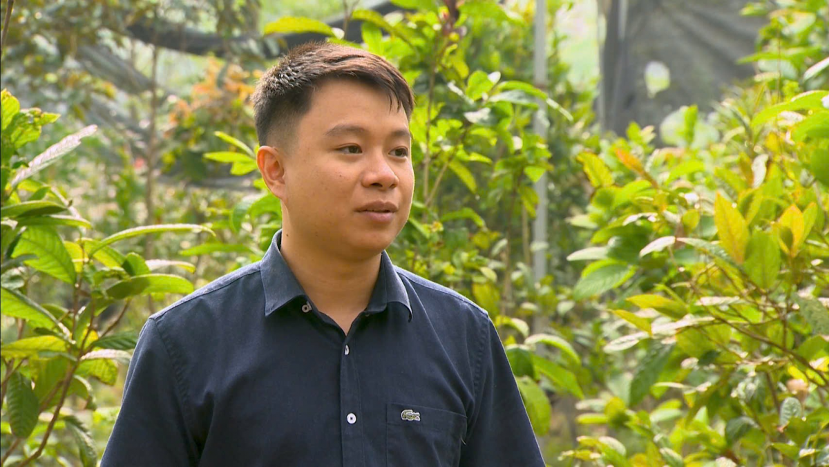 Chàng trai 26 tuổi khởi nghiệp từ trà hoa vàng