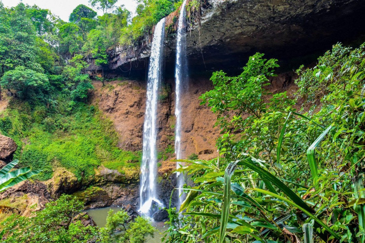 Lâm Đồng: Tuy Đức khát vọng trở thành trung tâm nông sản sạch giai đoạn 2026 - 2030