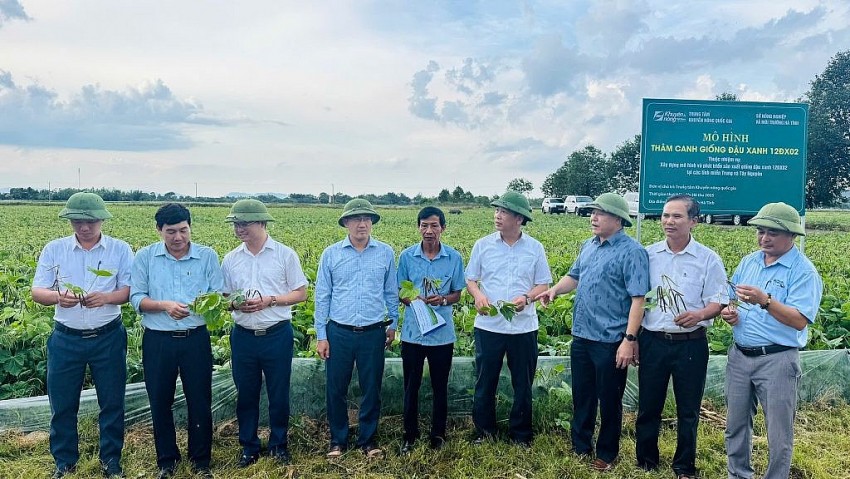 Khuyến nông Hà Tĩnh: Hành trình 32 năm khơi nguồn và sứ mệnh kiến tạo giá trị xanh