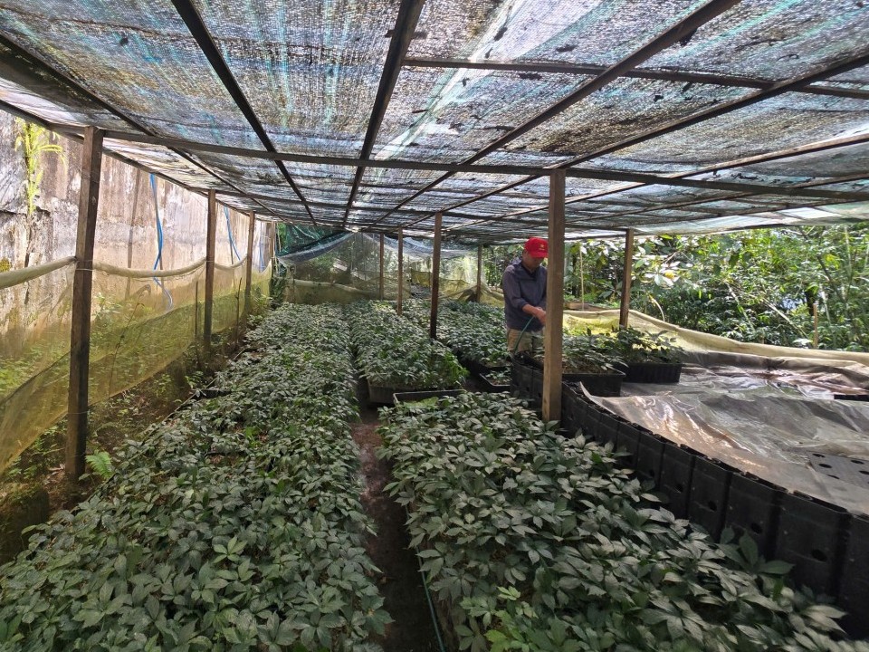 Hạt nhân chiến lược trong bảo tồn và nâng tầm “Quốc bảo” Việt Nam