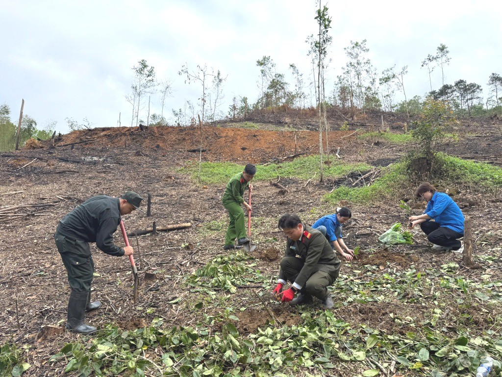 Cao Bằng: Ra quân Tháng Thanh niên, phát động Tết trồng cây nhớ ơn Bác Hồ