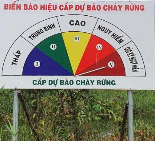 Sai phạm trong công tác phòng cháy chữa cháy rừng tại Công ty TNHH MTV Lâm nghiệp Di Linh
