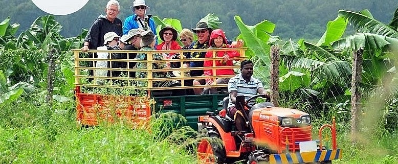 Hội nghị AgriSummit nhấn mạnh vai trò của thực phẩm và du lịch nông nghiệp đối với kinh tế nông thôn