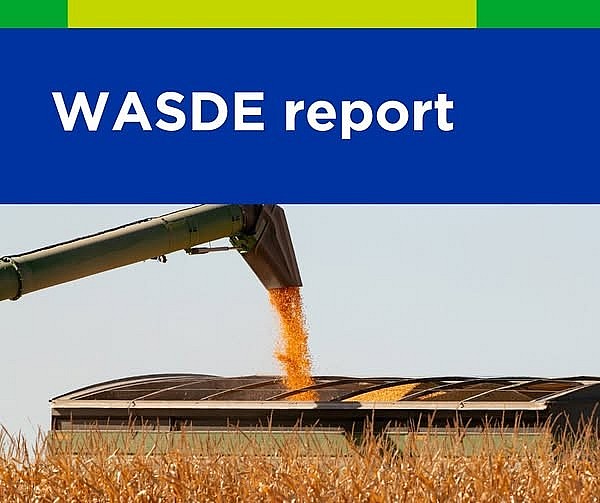 Báo cáo WASDE tiếp tục giữ vai trò then chốt trong dự báo thị trường nông sản toàn cầu