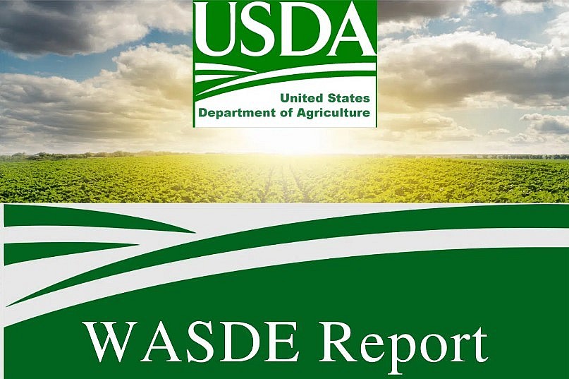Báo cáo WASDE tiếp tục giữ vai trò then chốt trong dự báo thị trường nông sản toàn cầu