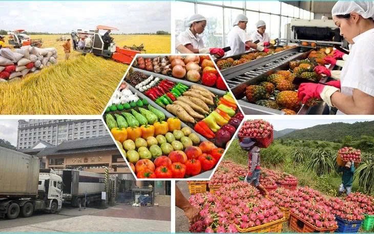 Kiểm soát dư lượng thuốc BVTV, nâng cao sức cạnh tranh nông sản xuất khẩu