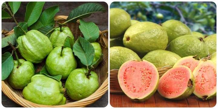 Ổi ngon, tốt cho sức khỏe nhưng không phải ai cũng ăn được