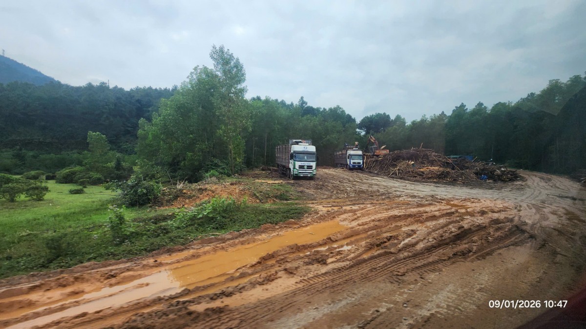 công trình xây dựng trái phép