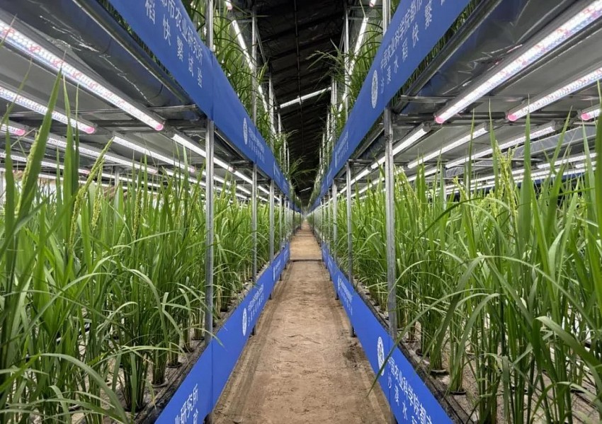 Trung Quốc và Uruguay mở rộng hợp tác khoa học nhằm phát triển nông nghiệp