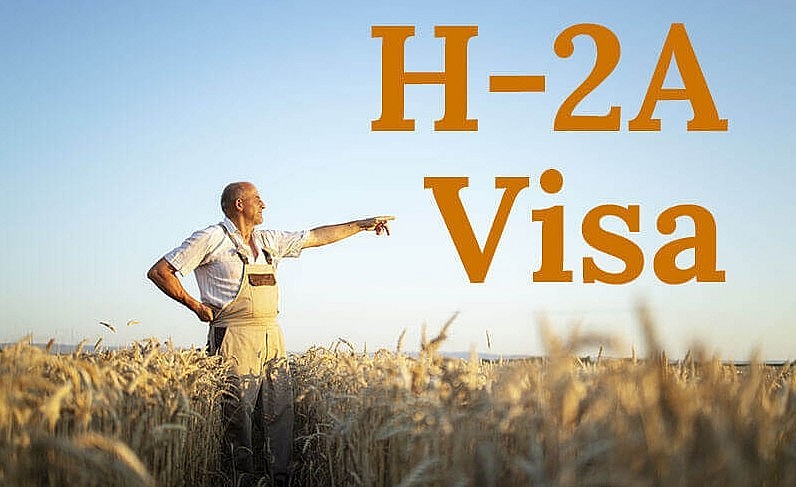 Tranh luận về lao động nhập cư giá rẻ trong nông nghiệp Hoa Kỳ