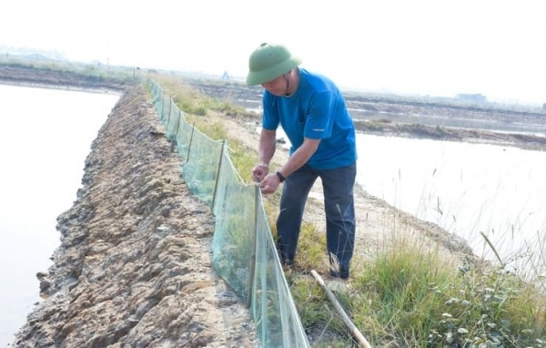 Giải pháp kỹ thuật nâng cao hiệu quả nuôi cua biển ao đất