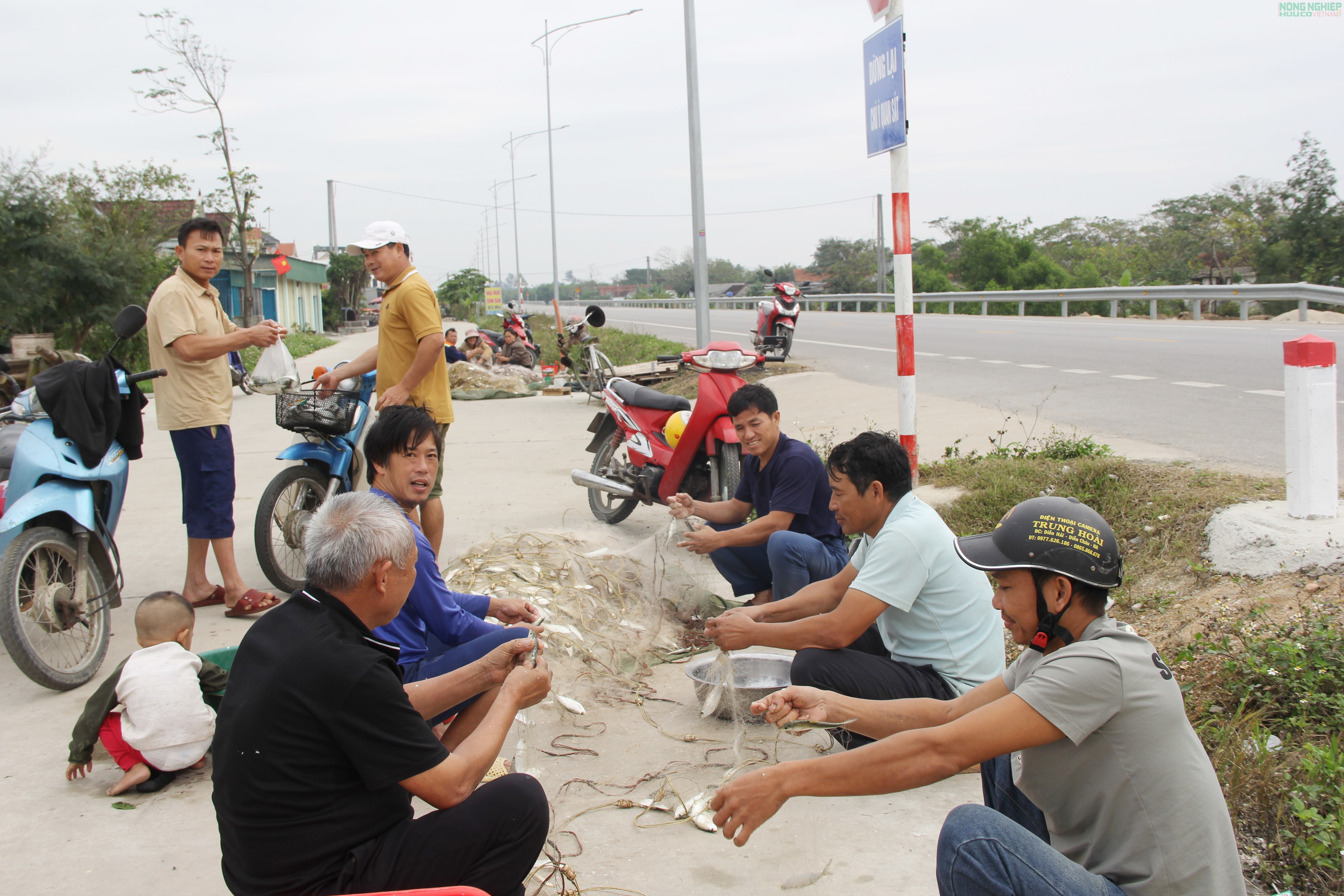Mỏi tay gỡ cá trích, ngư dân Nghệ An kiếm tiền triệu sau mỗi chuyến biển