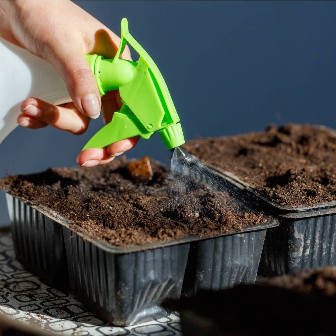 Tự chế dung dịch chống nấm tuyệt vời cho cây trồng trong vườn bằng 1 nguyên liệu có sẵn trong bếp