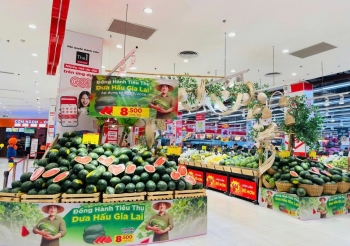 Chung tay kết nối, hỗ trợ tiêu thụ dưa hấu cho nông dân tỉnh Gia Lai