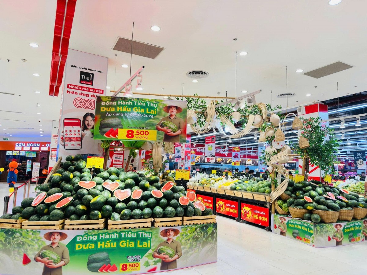 Chung tay kết nối, hỗ trợ tiêu thụ dưa hấu cho nông dân tỉnh Gia Lai