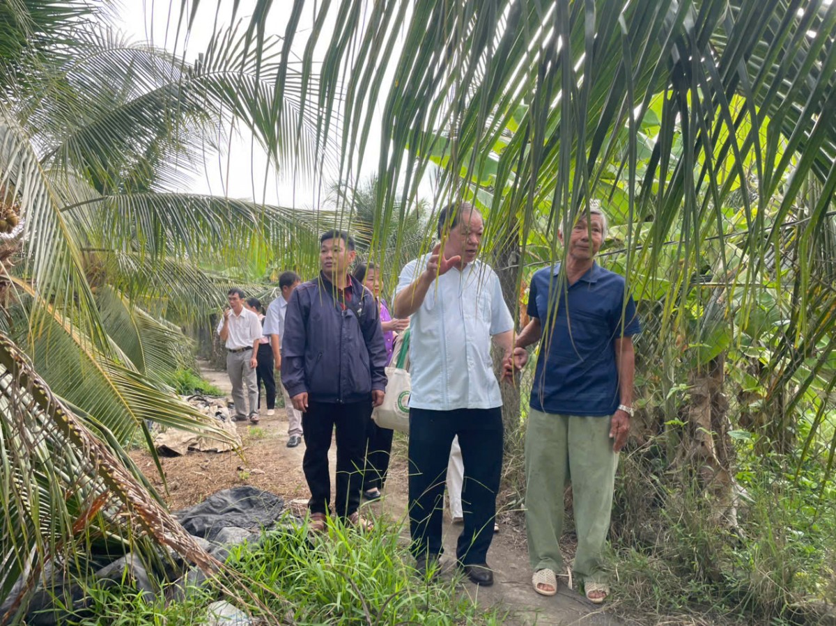 Hiệp hội Nông nghiệp Hữu cơ Việt Nam khảo sát thực tế các mô hình sản xuất tiêu biểu tại tỉnh Đồng Tháp