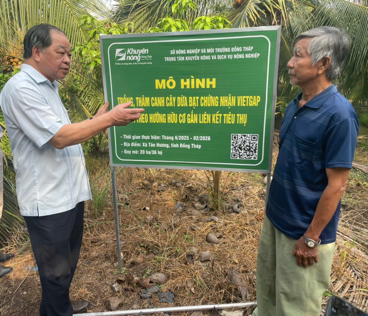 Hiệp hội Nông nghiệp Hữu cơ Việt Nam khảo sát thực tế các mô hình sản xuất tiêu biểu tại tỉnh Đồng Tháp