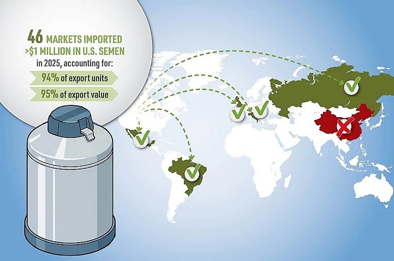 Xuất khẩu tinh bò Hoa Kỳ lập kỷ lục 327 triệu USD dù sản lượng giảm 4%