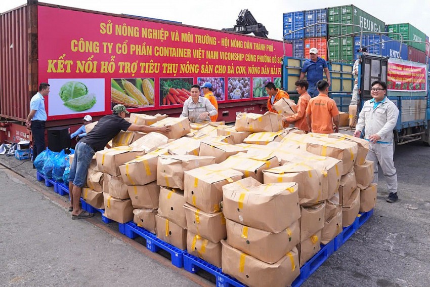 Phường Đồ Sơn (Hải Phòng) tiên phong kết nối tiêu thụ nông sản