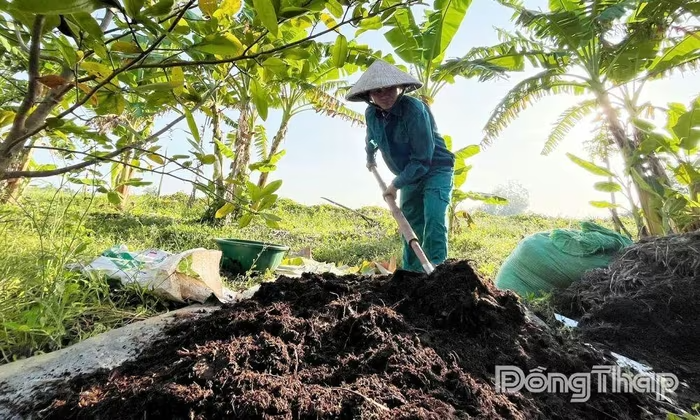 Thanh niên khởi nghiệp với nông nghiệp tuần hoàn