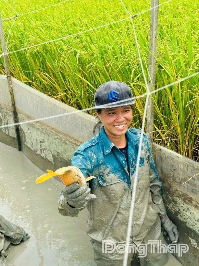 Thanh niên khởi nghiệp với nông nghiệp tuần hoàn