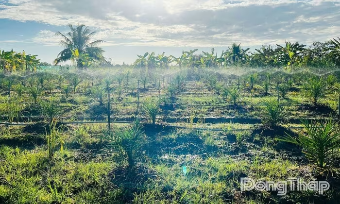 Thanh niên khởi nghiệp với nông nghiệp tuần hoàn