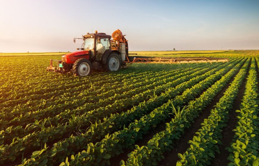 Nghề nông ở Hoa Kỳ: Hiện đại, hiệu quả nhưng cũng đầy thách thức