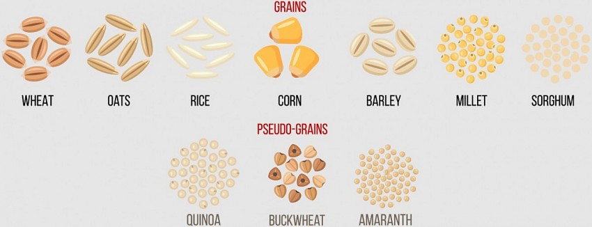 Thị trường nông sản Hoa Kỳ: Dòng tiền đầu cơ quay lại, giá ngũ cốc tăng theo năng lượng, chăn nuôi suy yếu